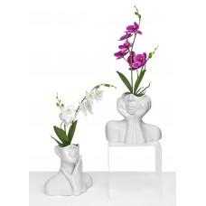 Busto Donna Porcellana 18x11x18cm (44cm con Orchidea)
